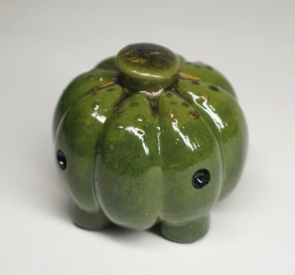 Foto 12-02-26, 1 48 21 pm Calabacin