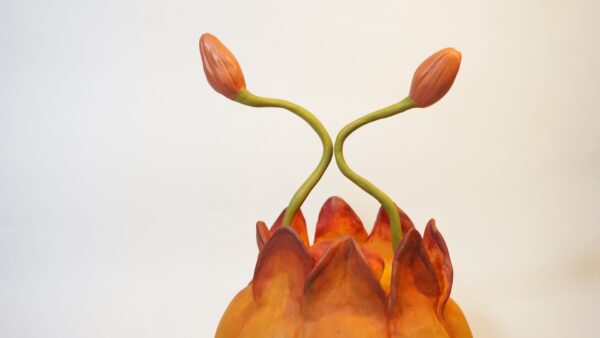 Foto 12-03-26, 12 18 49 pm Rey capullo